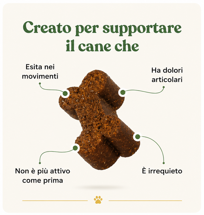 Ossa & Articolazioni